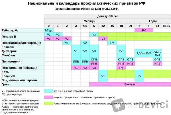 таблица детских прививок в России 2019