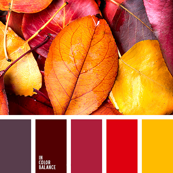 Краски осени: 23 цветовые палитры, фото № 15