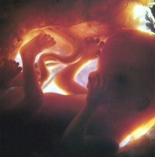 очень интересная статья с картинками.4-й месяц беременности
