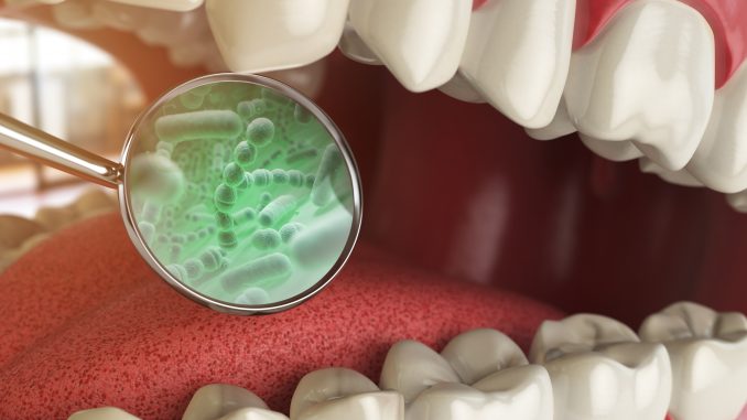 бактериальная микрофлора во рту