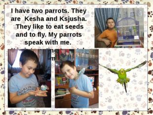 I have two parrots. They are Kesha and Ksjusha. They like to eat seeds and to
