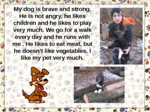 My dog is brave and strong. He is not angry, he likes children and he likes t