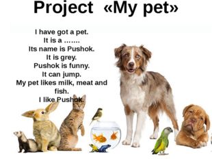 Project «My pet» I have got a pet. It is a ……. Its name is Pushok. It is grey