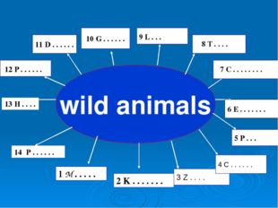 wild animals 1 M . . . . . 2 K . . . . . . . 14 P . . . . . . 3 Z . . . . 4 C