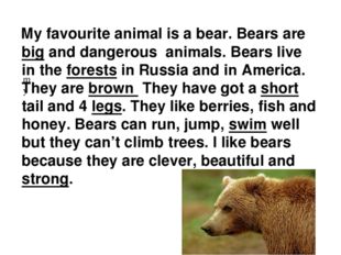 My favourite animal is a bear. Bears are big and dangerous animals. Bears li