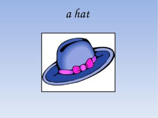 a hat 