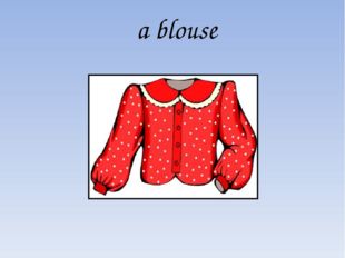a blouse 
