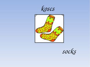 koscs socks 