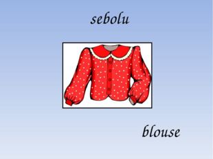 sebolu blouse 