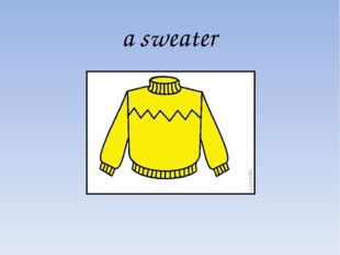 a sweater 