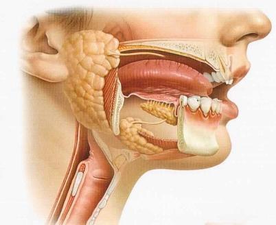 ретенционная киста нижней губы история болезни