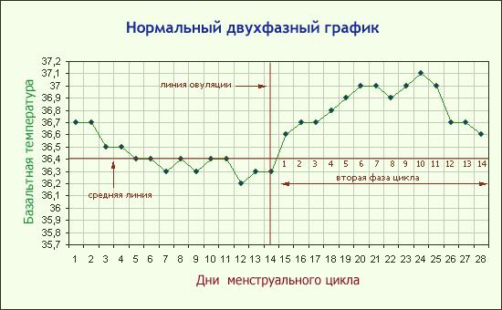 базальная температура в день овуляции