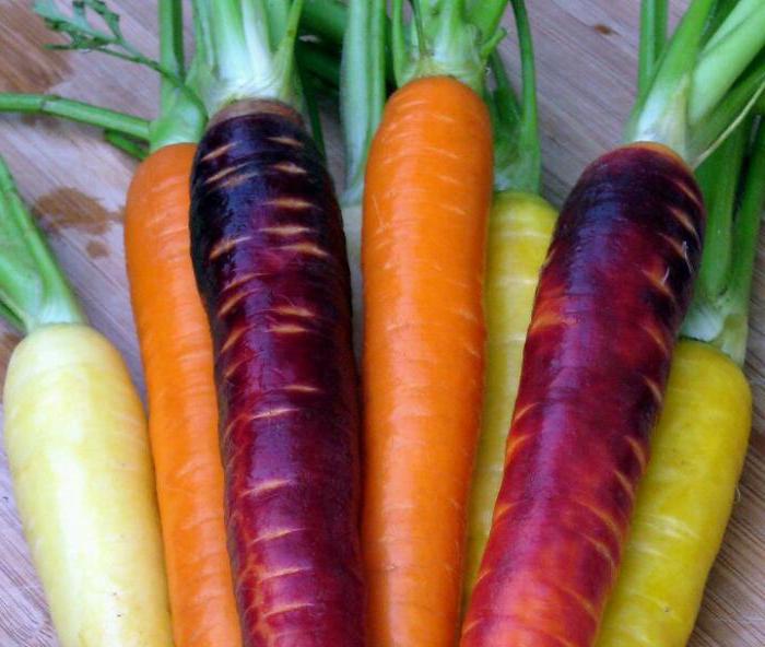 почему морковь белая а не оранжевая