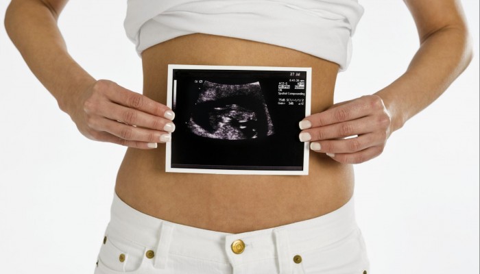 il-feto-nel-primo-mese-di-gravidanza_dab1c68c65d931b3e1c6e573ff1d8e16