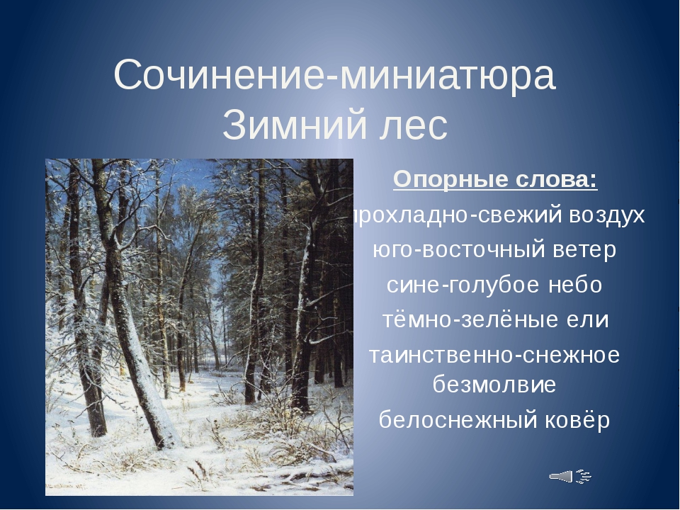Тема текста зимний лес. Сочинение зимний лес. Сочинение на тему зимний лес. Описание природы зимой. Сочинение зимой в лесу.