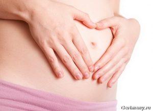 Развитие эмбриона во второй месяц беременности, фото