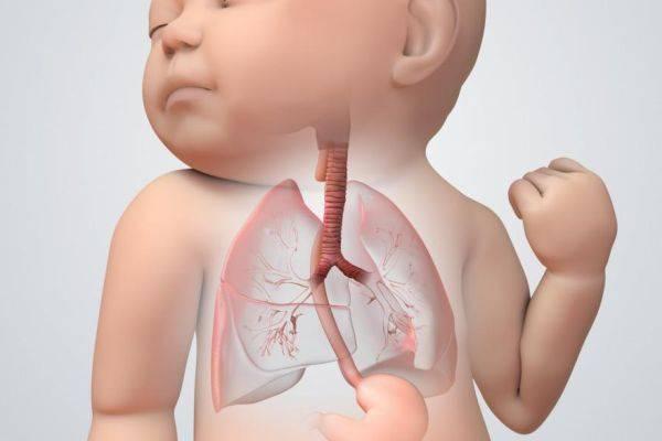патология дыхательной системы