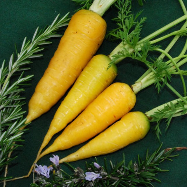 Желтая морковь Solar Yellow - состав и калорийность необычного сорта