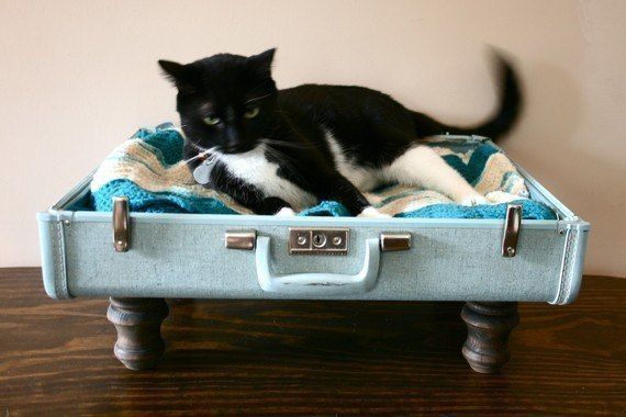 Место для кошки из чемодана
