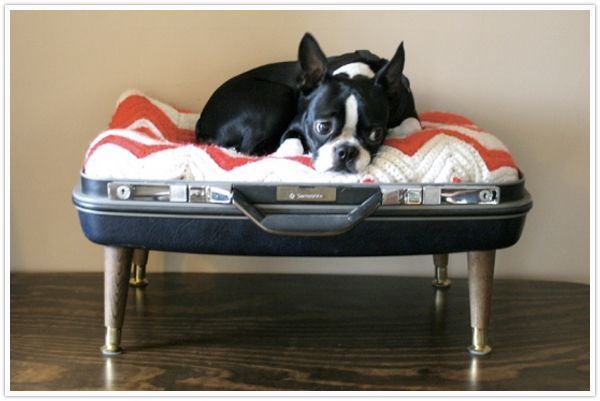 Место для собаки из чемодана
