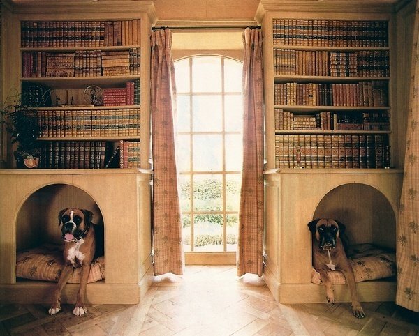 Будки для собак в книжных стеллажах