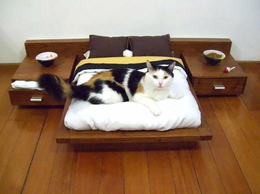 Креативная мебель для котов. Фото 2