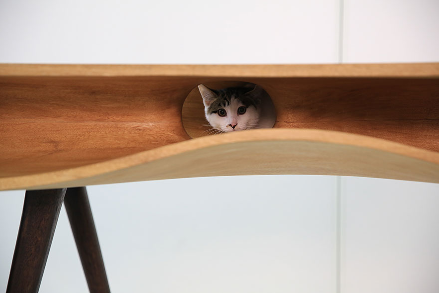 Креативная мебель для котов. Фото 5