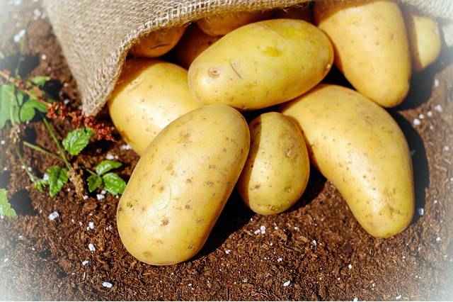 Картофель витамины и минералы