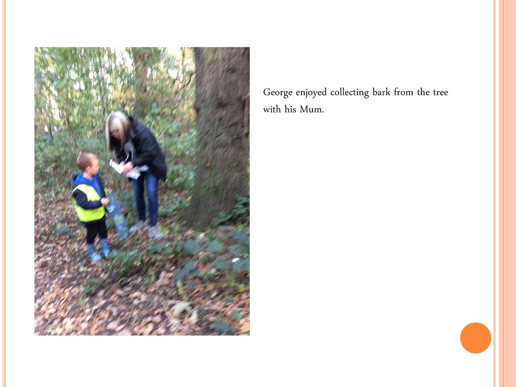 George enjoyed collecting bark from the tree with his Mum.