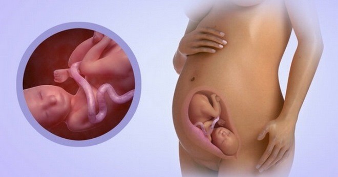 27 неделя беременности – что происходит с малышом и мамой?