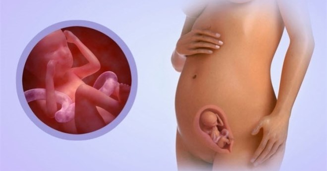 10 недель беременности – что происходит с малышом и мамой, чего стоит опасаться?