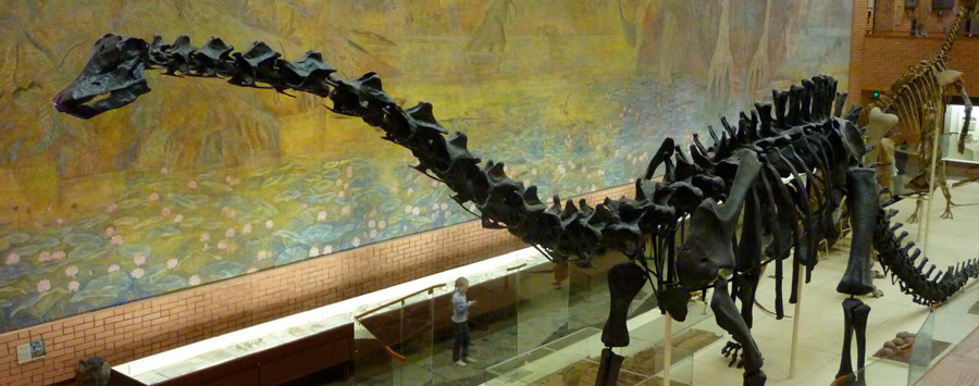Orlov Paleontology Museum