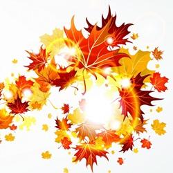 Почему листья желтеют осенью?