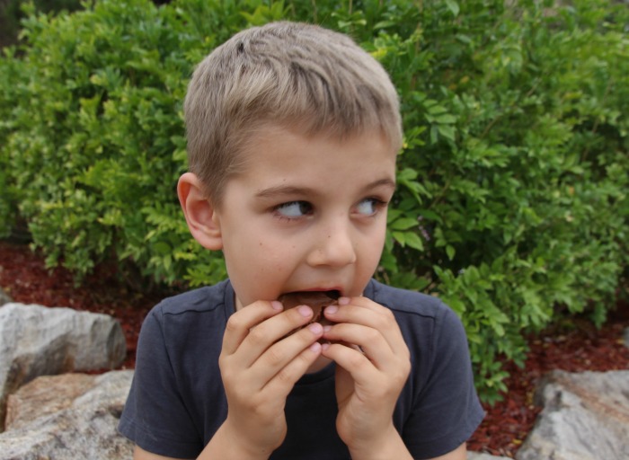 аллергия на шоколад у детей